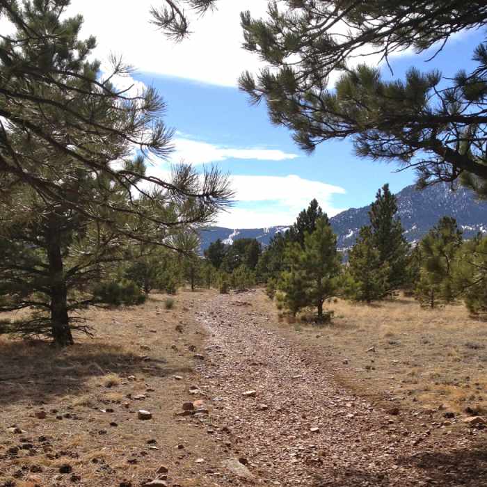Near Flatirons Vista South