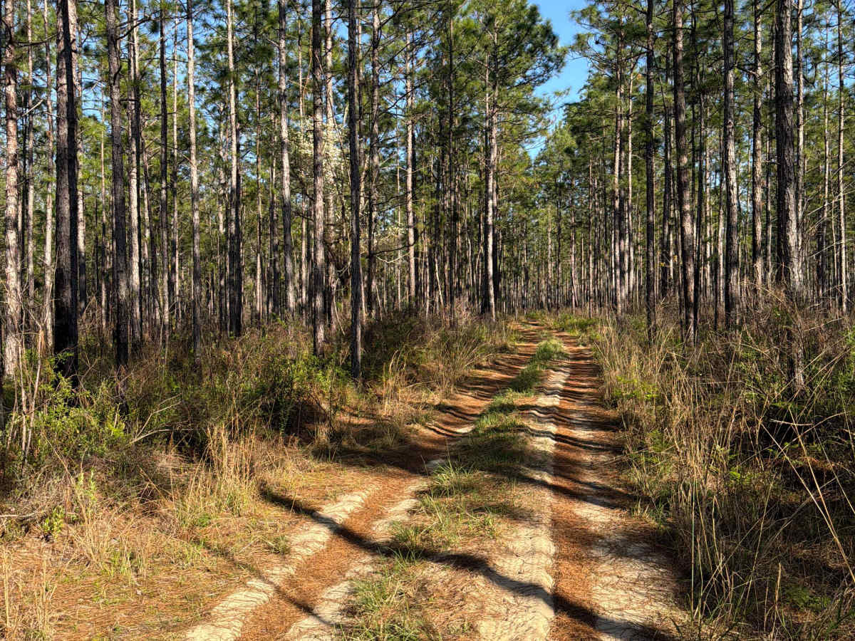 R 159 trail photo