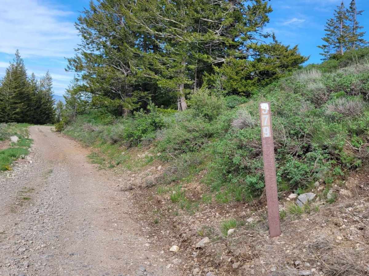 Sheep Canyon 2 photo 2