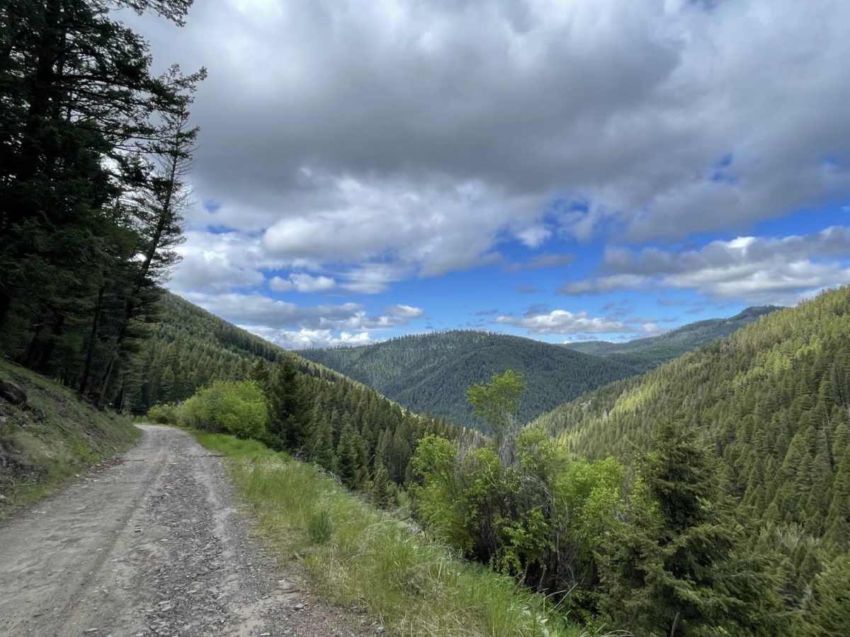 First Chance Gulch To Bear Gulch trail photo