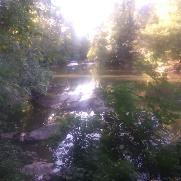 Near Deep River Nature Trail