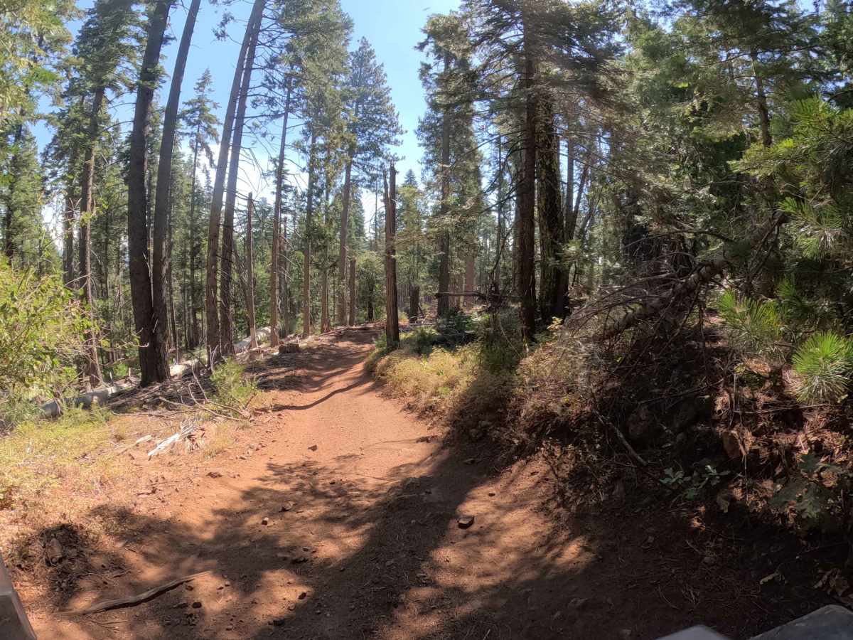 Sivils Mountain - FS 6S011C trail photo