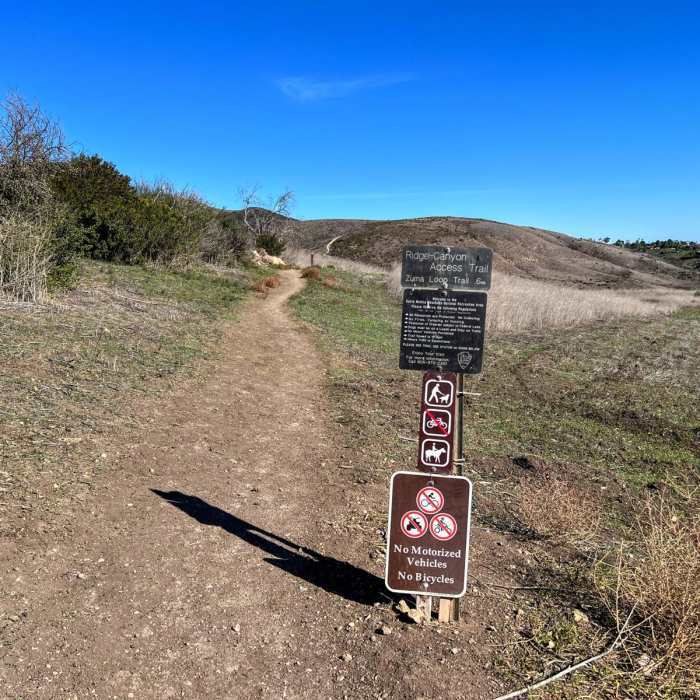 Near Zuma Loop Trail