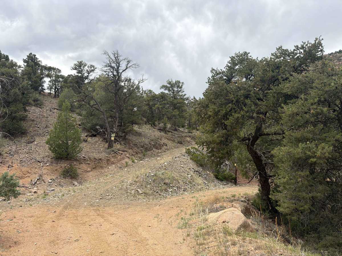 BLM 6020A photo 5