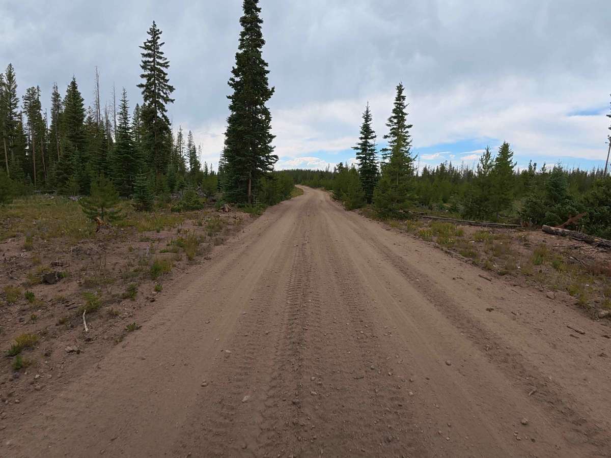 Bobcat Road - FS 185 photo 4