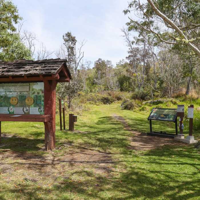 Near Kipukapuaulu Trail