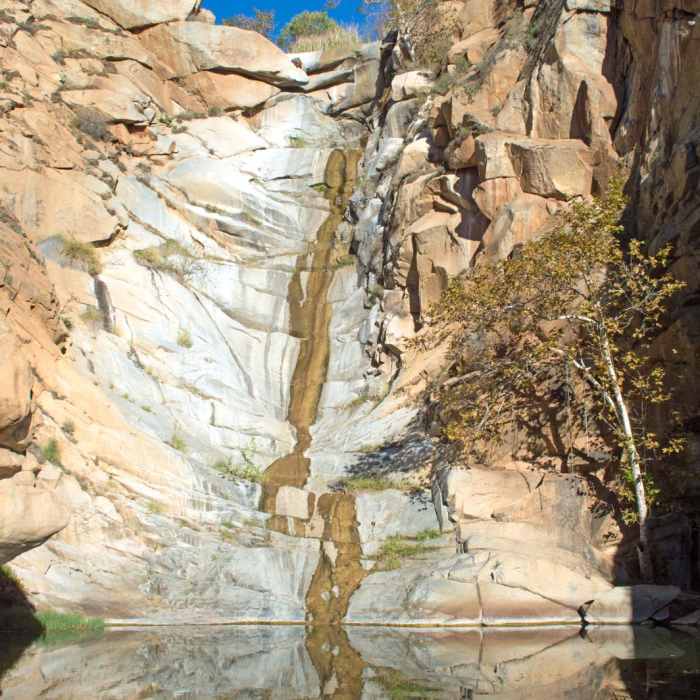 Near Cedar Creek Falls