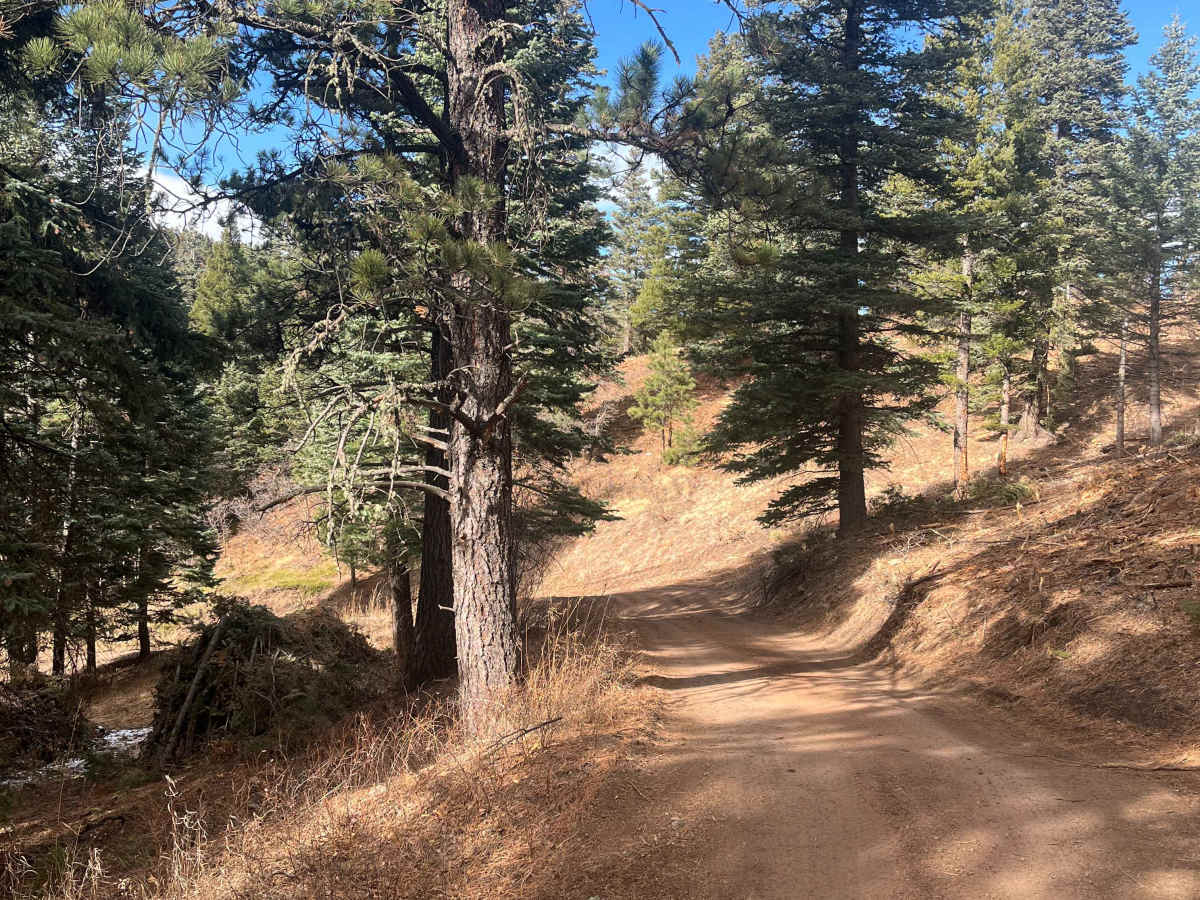 San Carlos Road trail photo