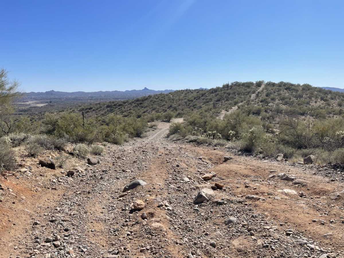 Ridgeline Romp photo 4