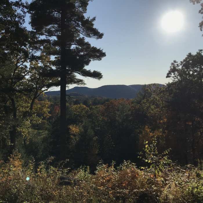 Near Ice Glen Trail