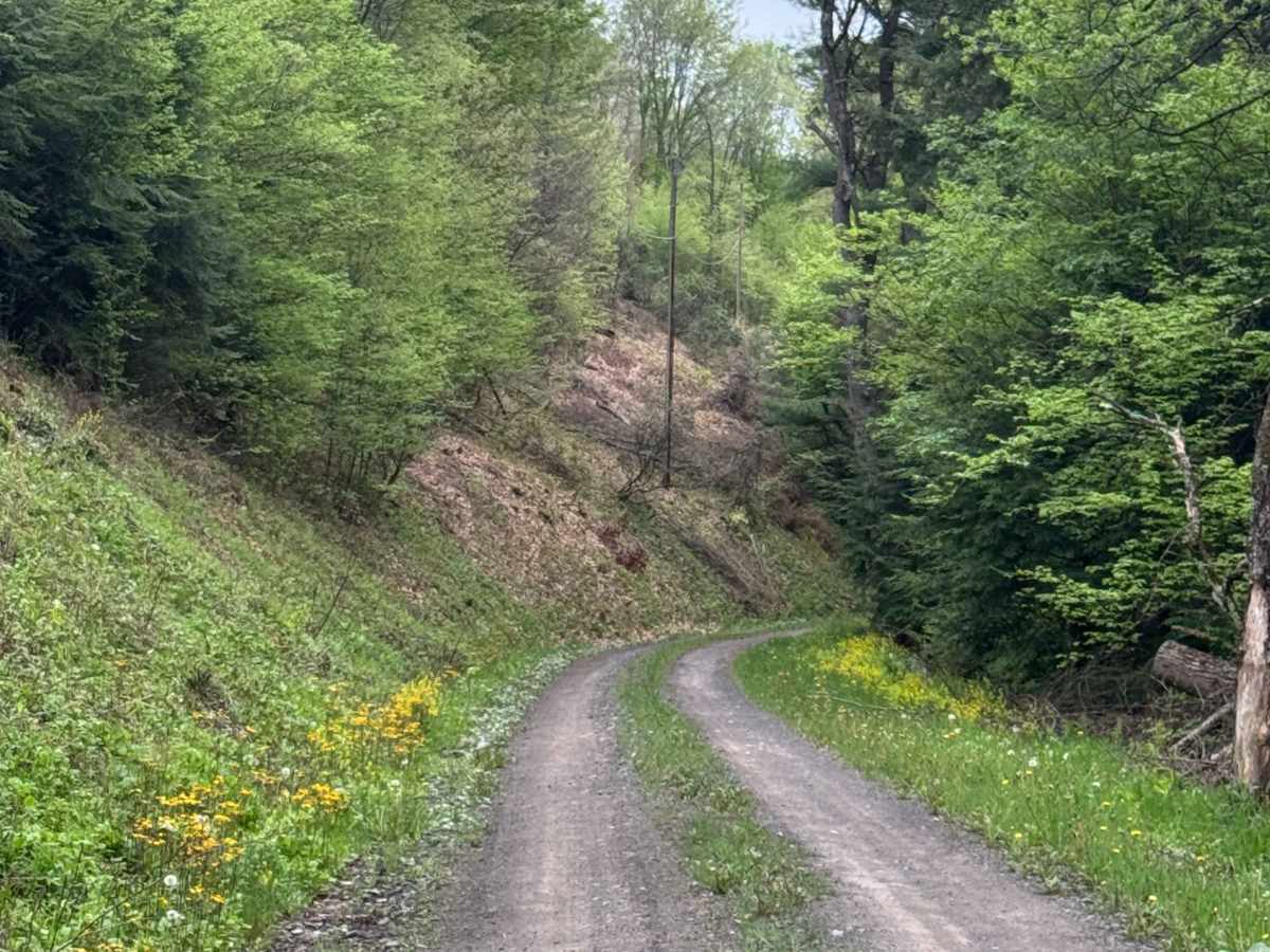 Lebo Road photo 6