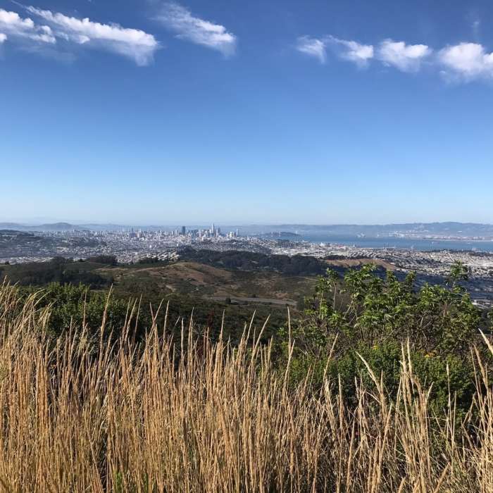 Near Summit Loop Trail