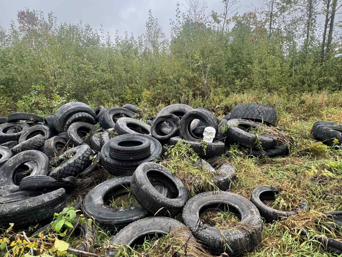 Mille Lacs Core Trail photo 4