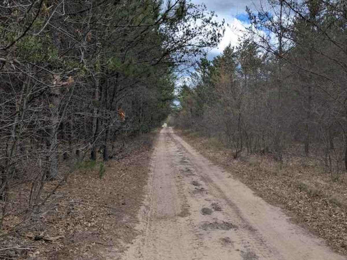 Owens Pond photo 3