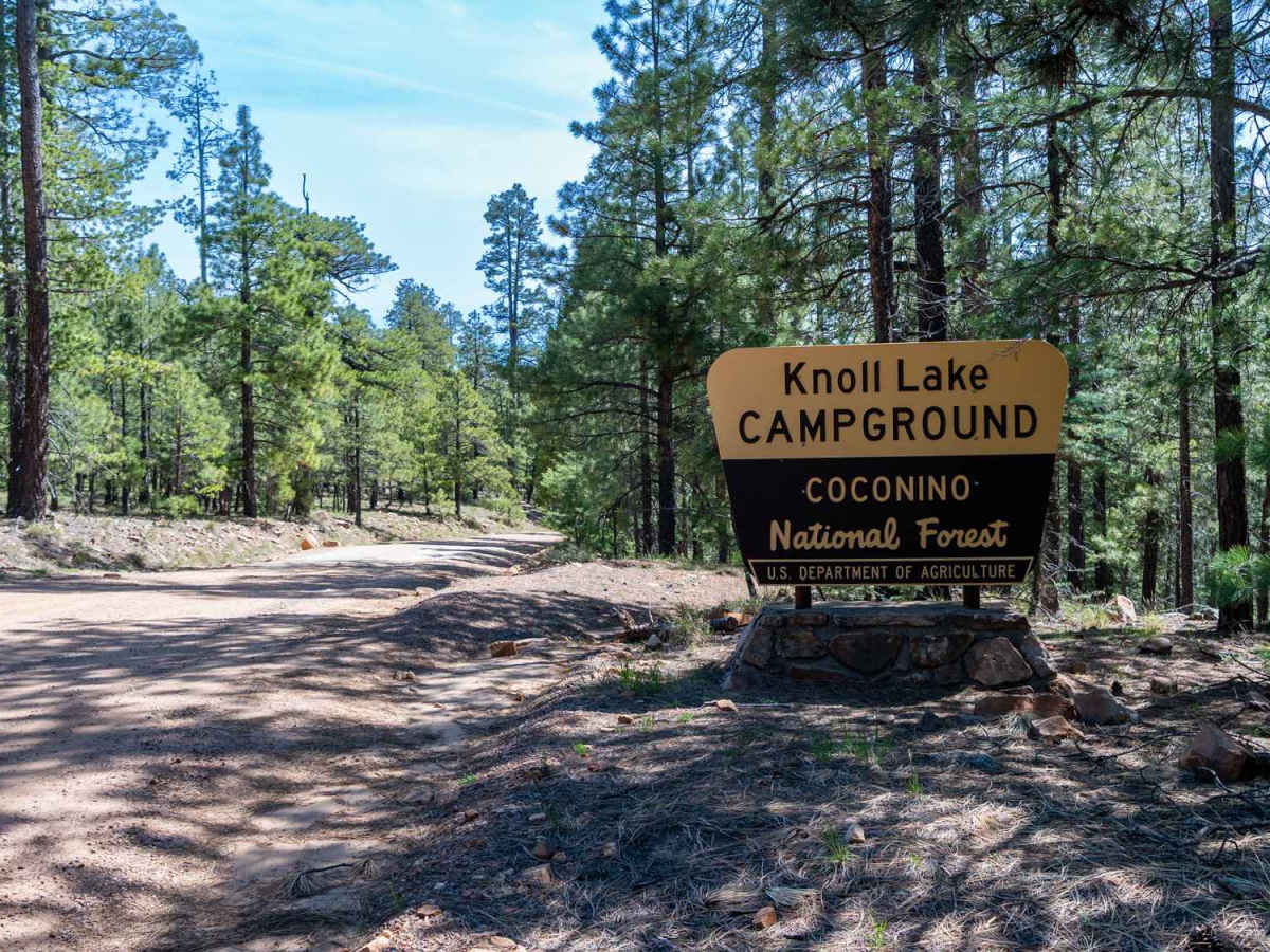Knoll Lake - FS 295E photo 5
