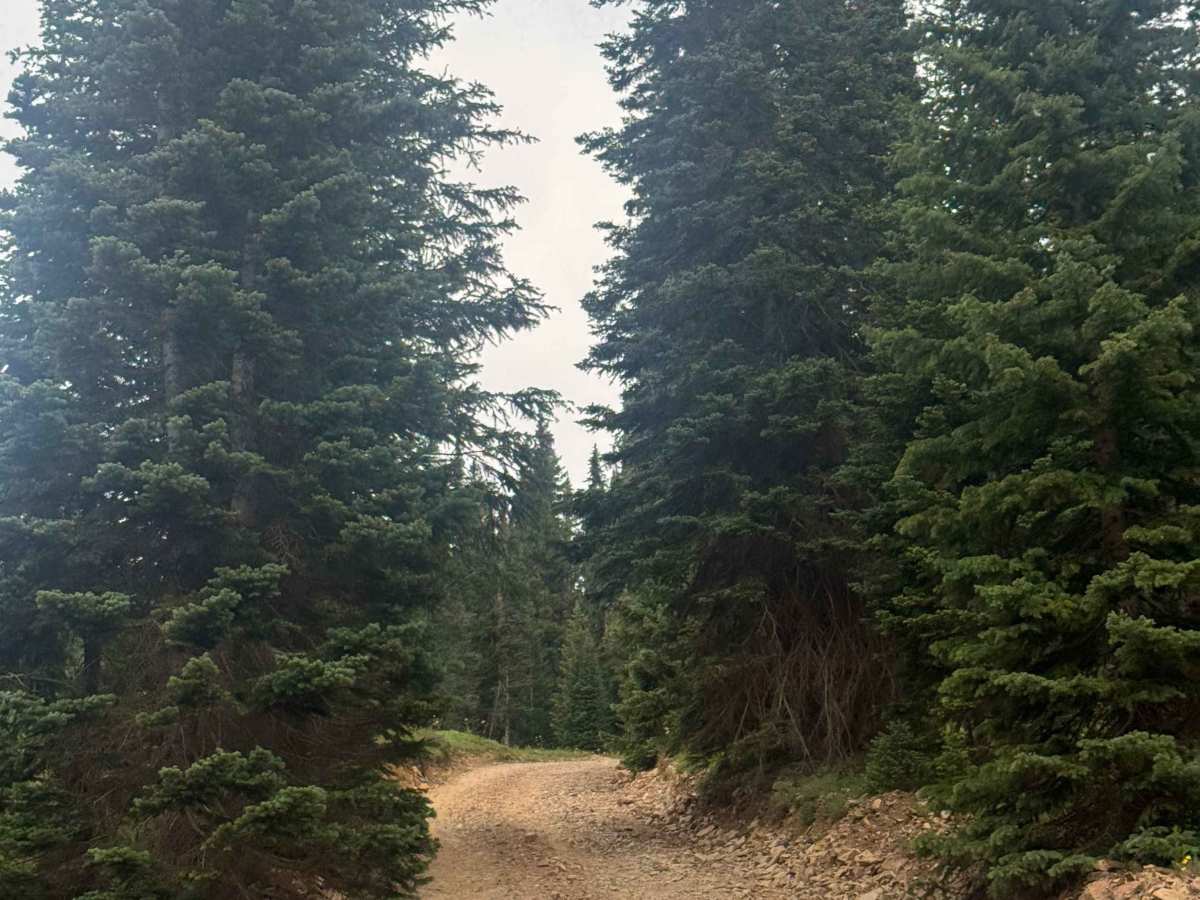 Paradise Divide photo 6