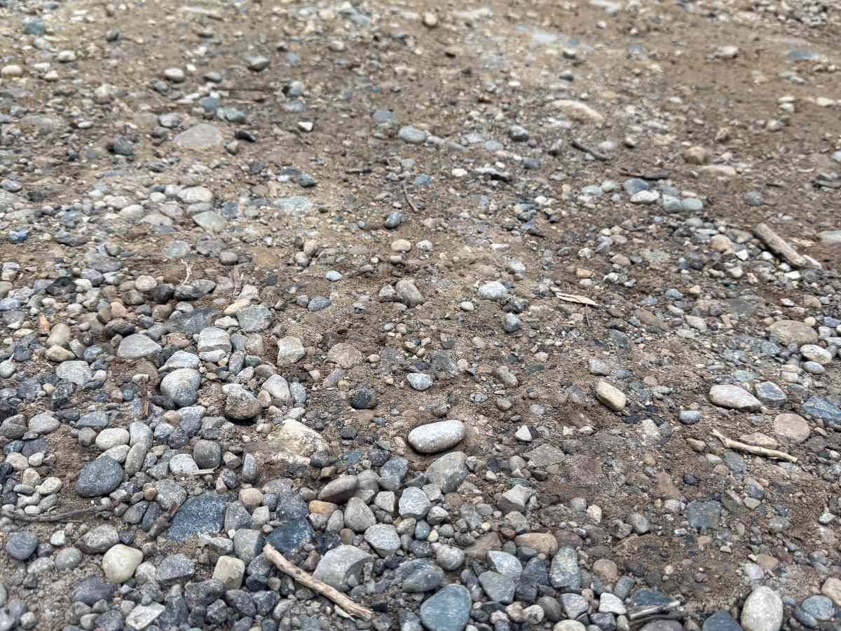 Crooked Lake Trail photo 2