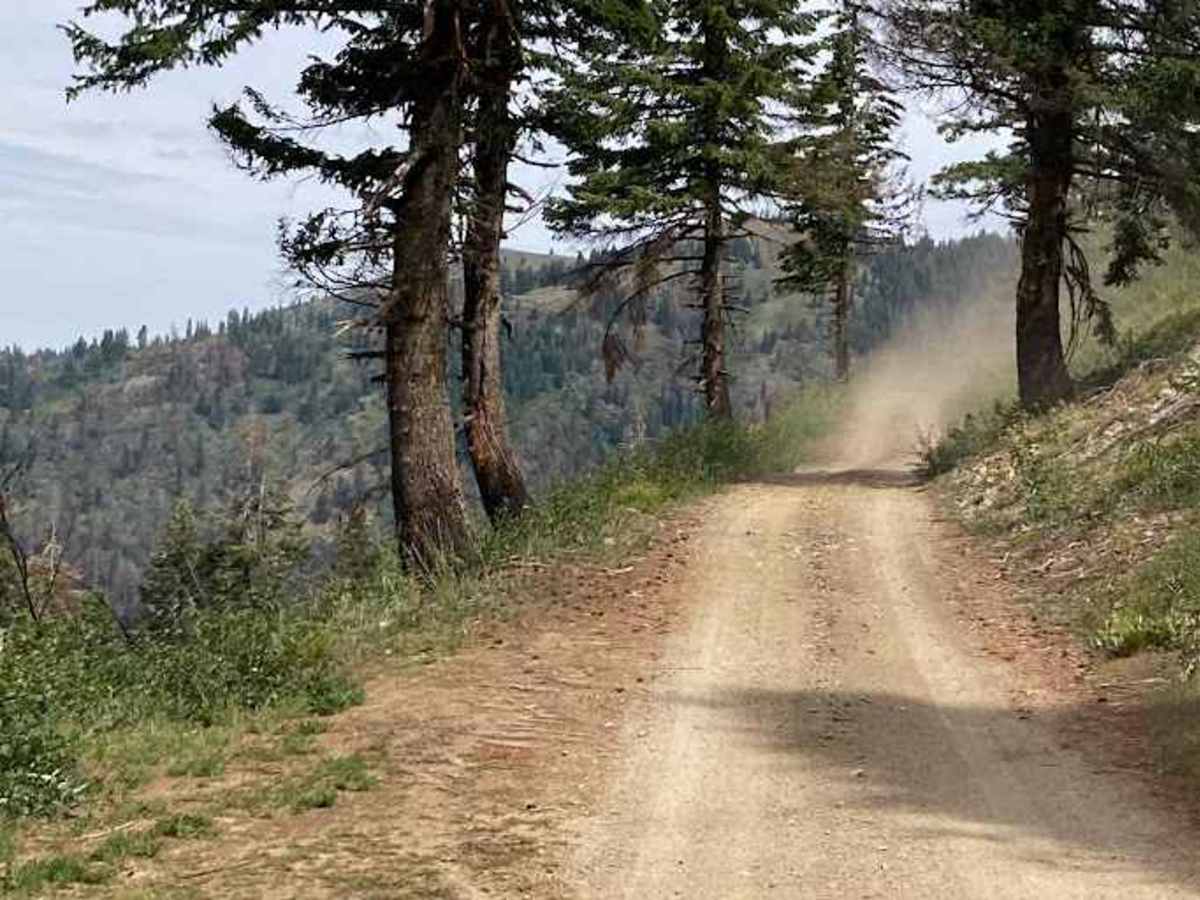Horse Mountain Fire Lookout trail photo