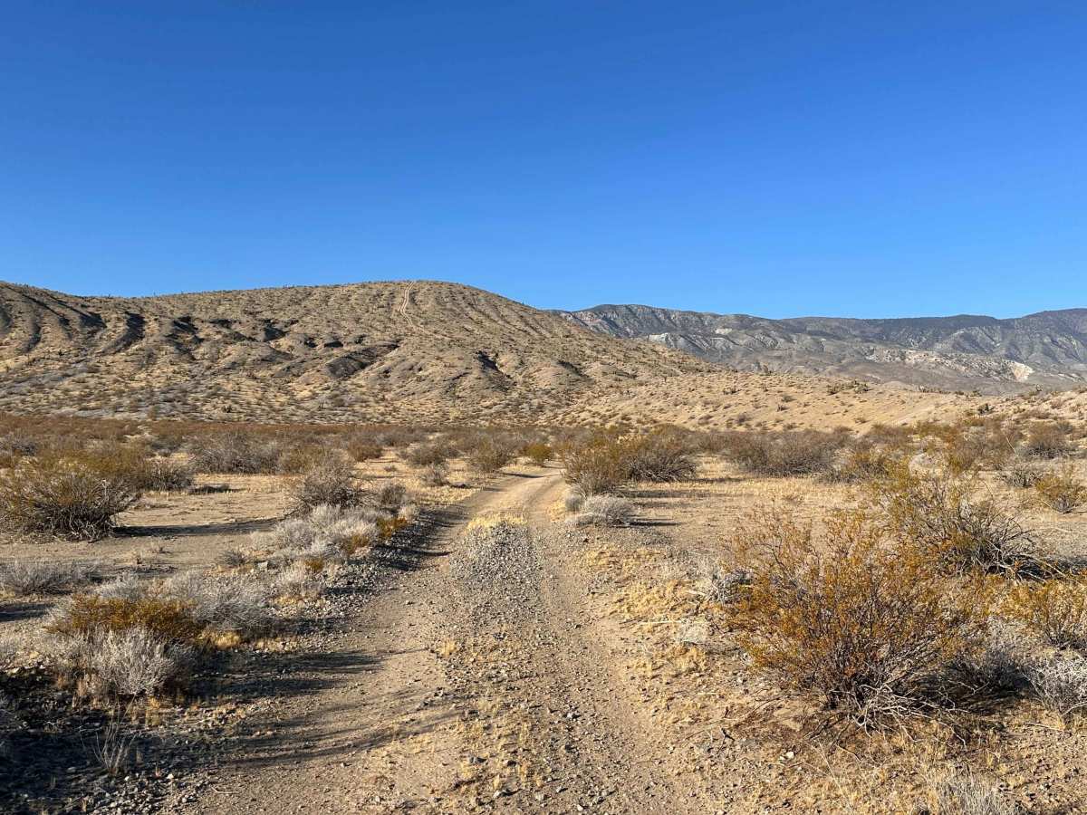Wild Horse Trail photo 3