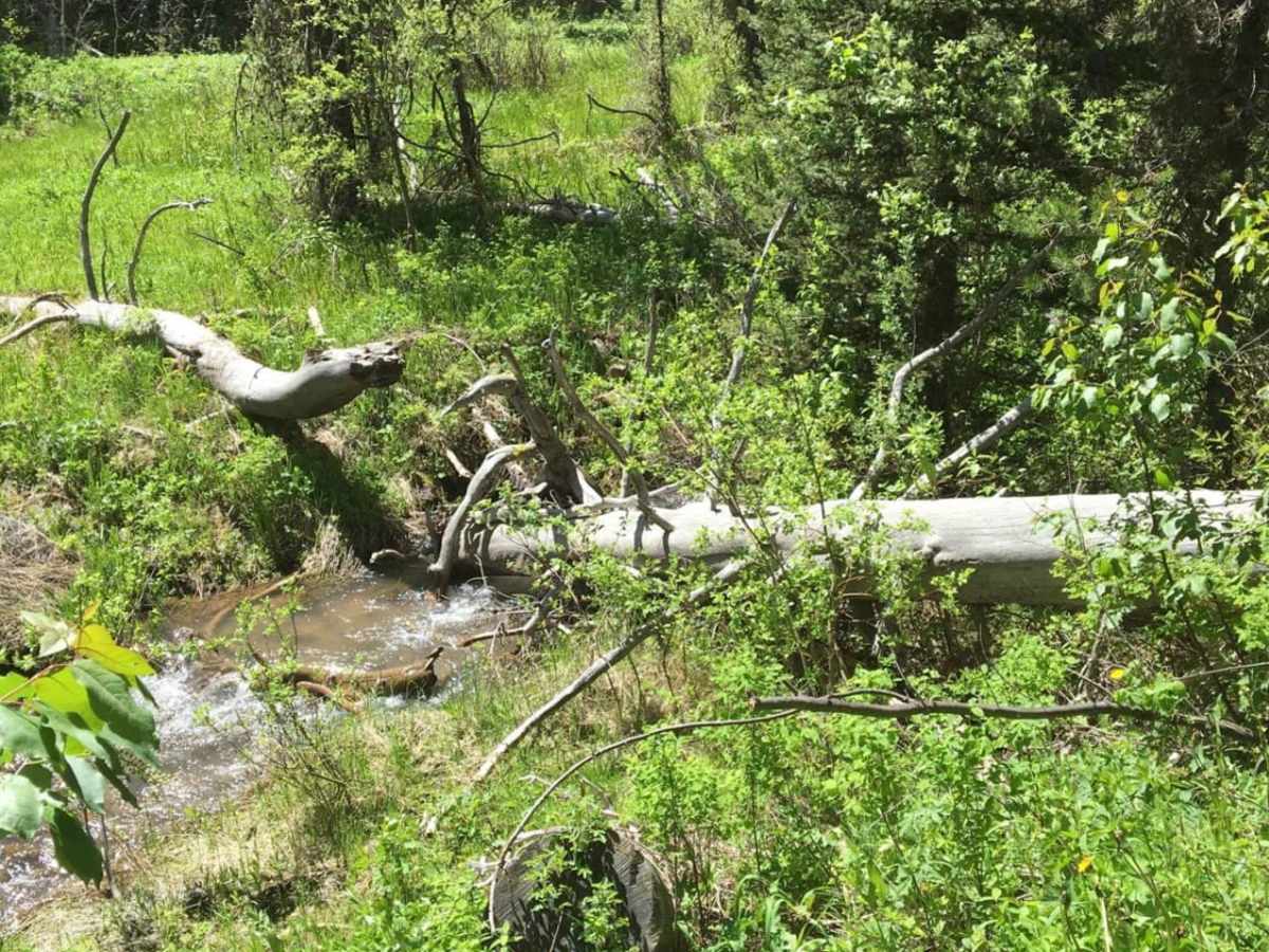 Muddy Creek to Where Stuff Gets Real photo 5