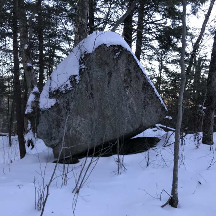 Near Bog Trail