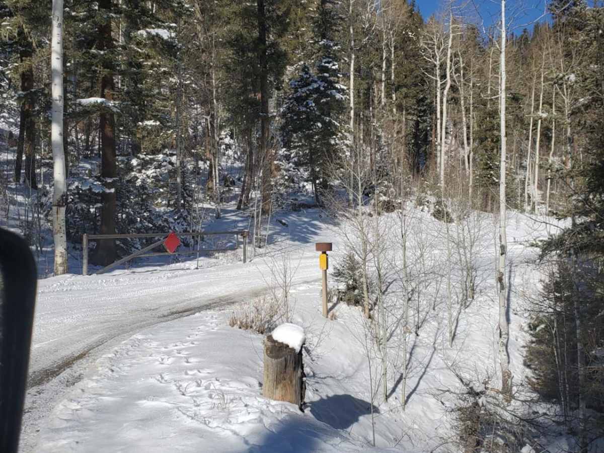 Greenie East trail photo
