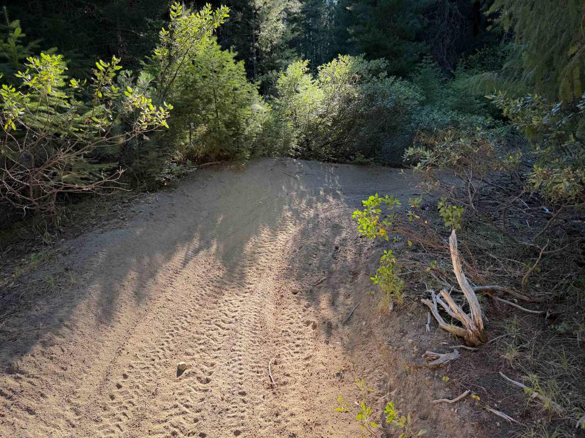 Elk Trail #24  photo 5