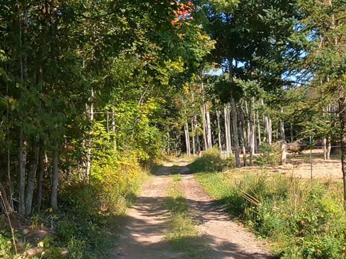 Limestone Road photo 6