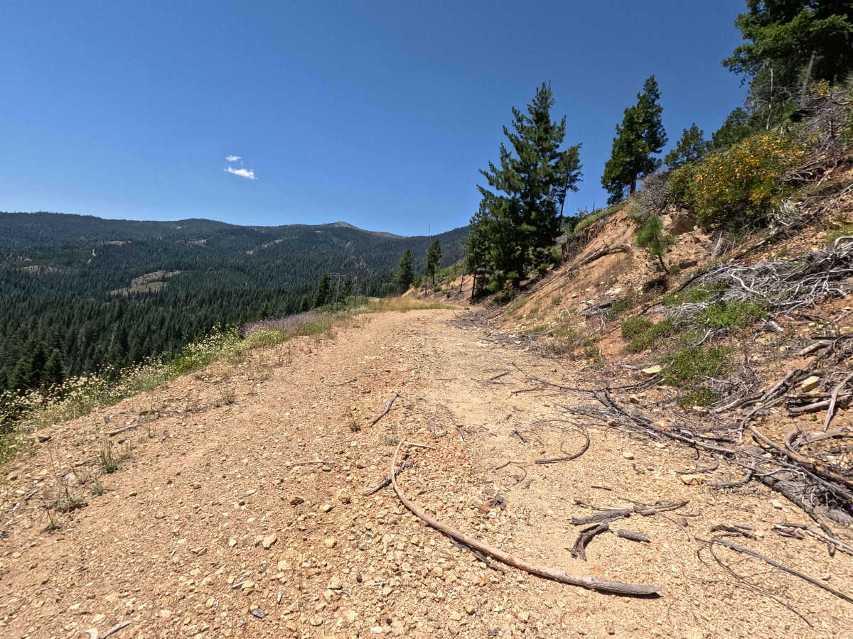 Deadhorse Creek - FS 37N80Y trail photo