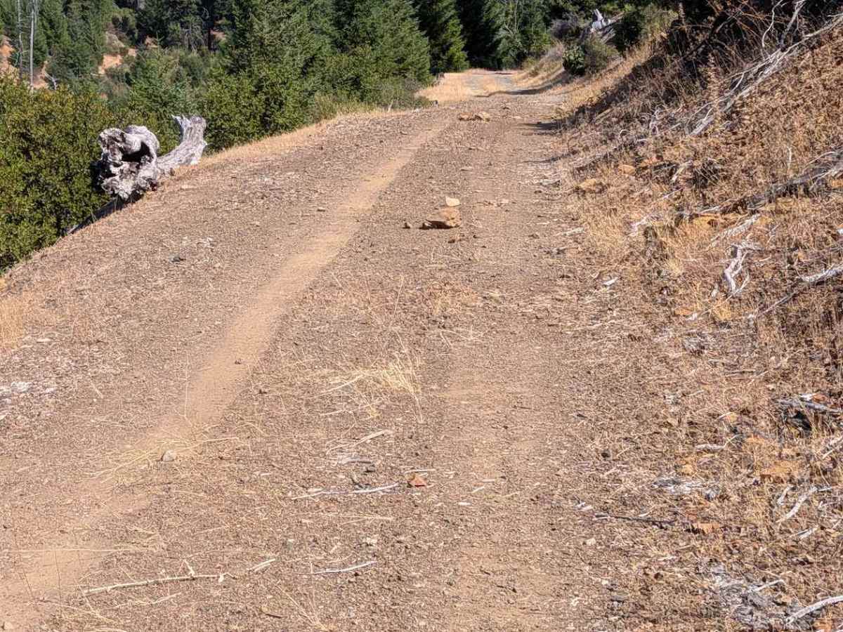Friend Ranch Road - FS 1N40  photo 6