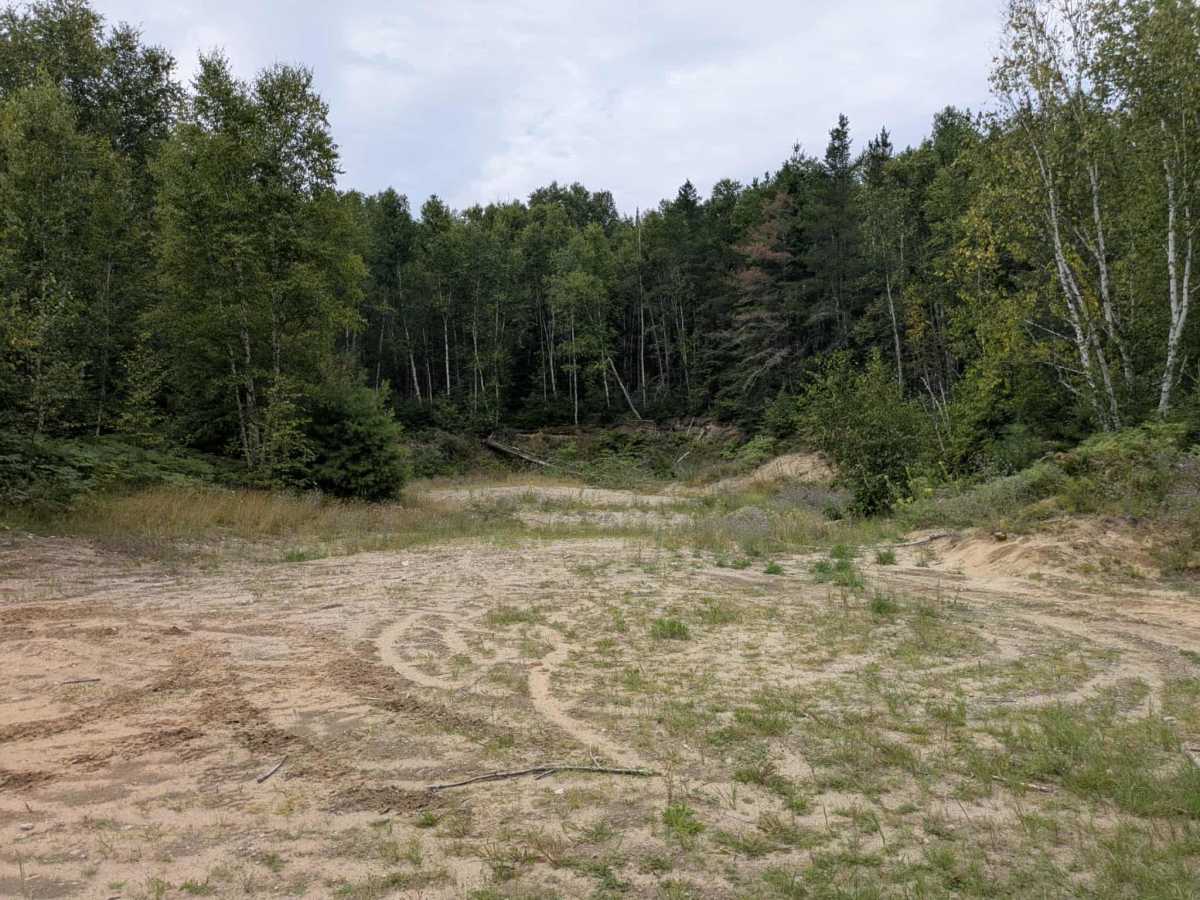 Johnson Lake photo 2