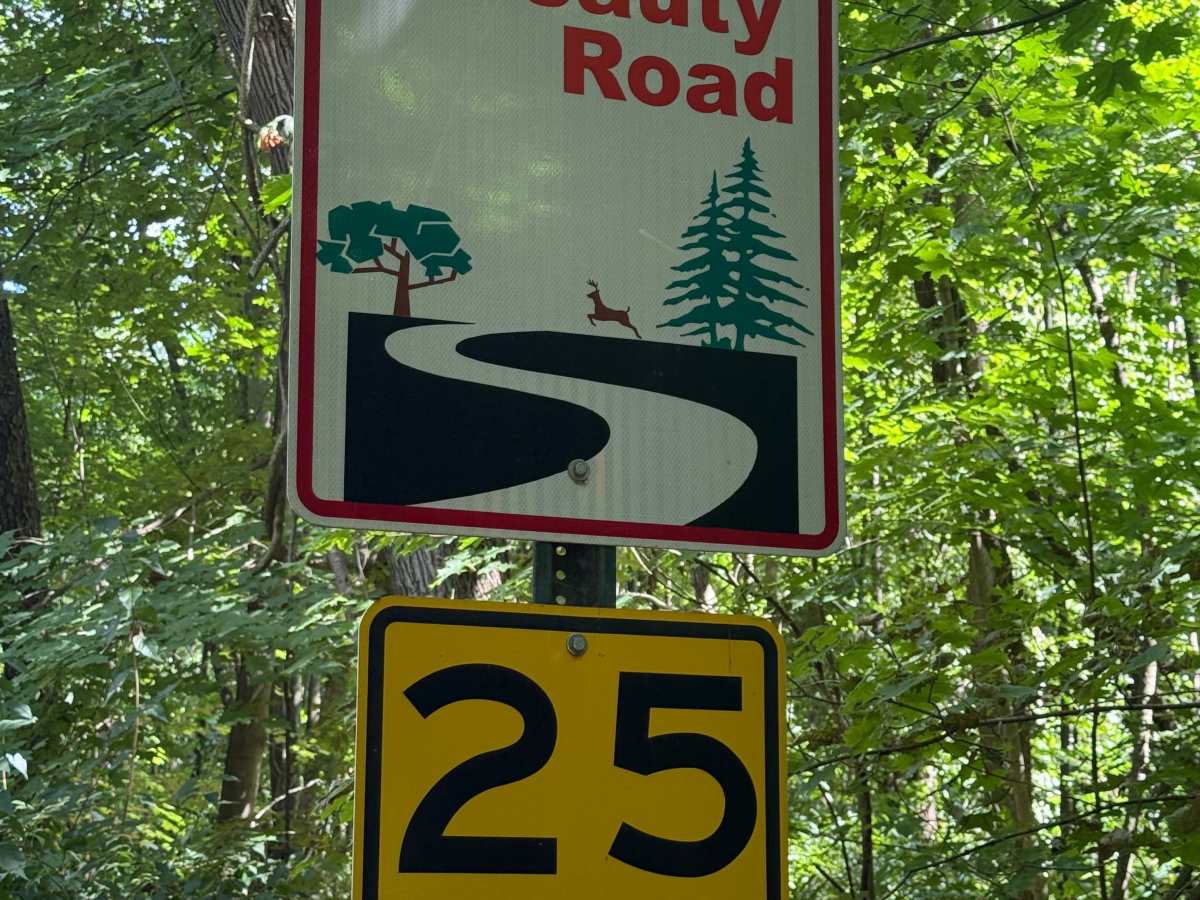 Green Trail photo 3