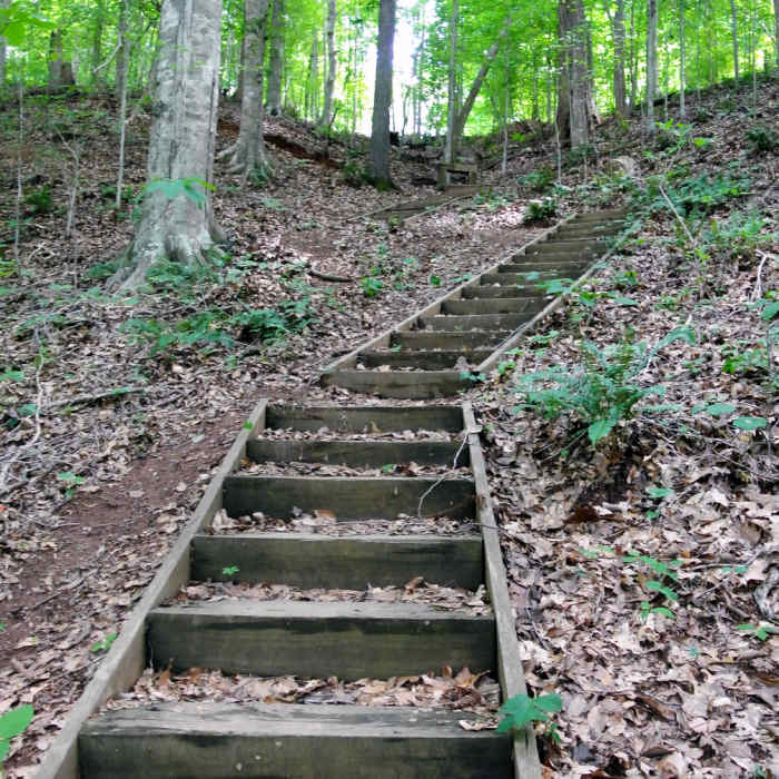 Near Stairway Trail