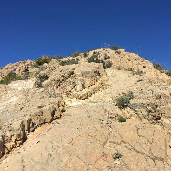 Notice the blue dot just right of the path? That's what you'll be looking for along Ron Coleman Trail. Near Ron Coleman Trail