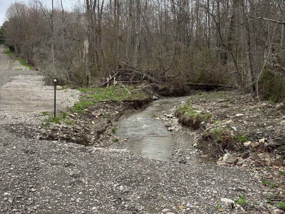 Fisher Road photo 3
