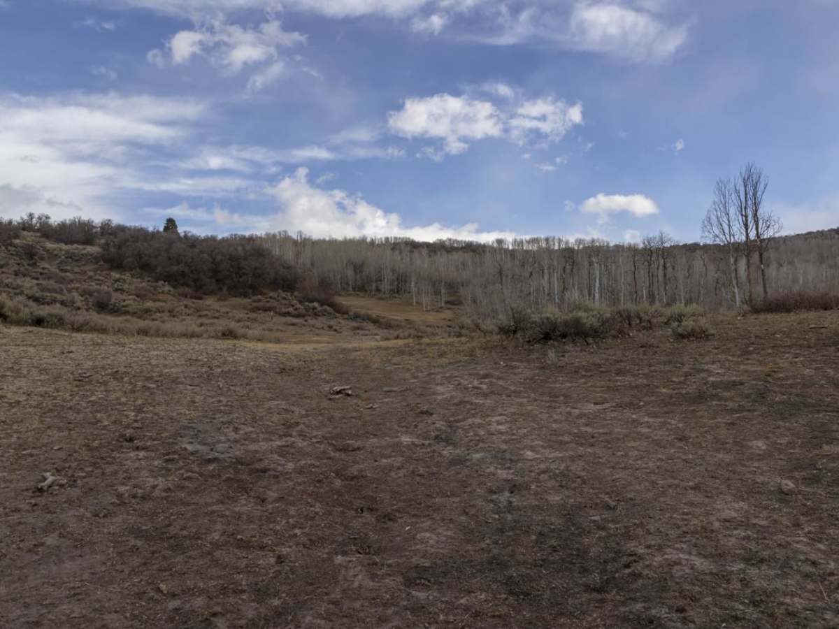 Oak Ridge Road Access Trail photo 5
