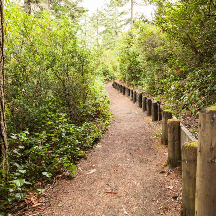 Near John Dellenback Trail