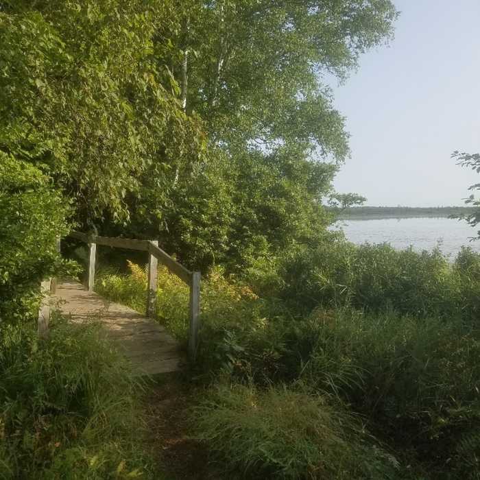1st bridge Near Marl Lake Trail System