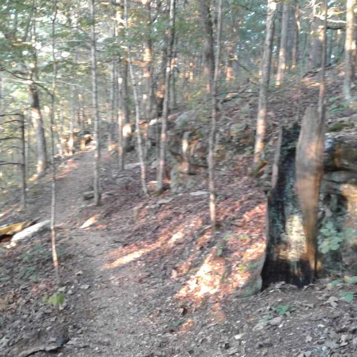 Near Painter Ridge Trail - North Loop
