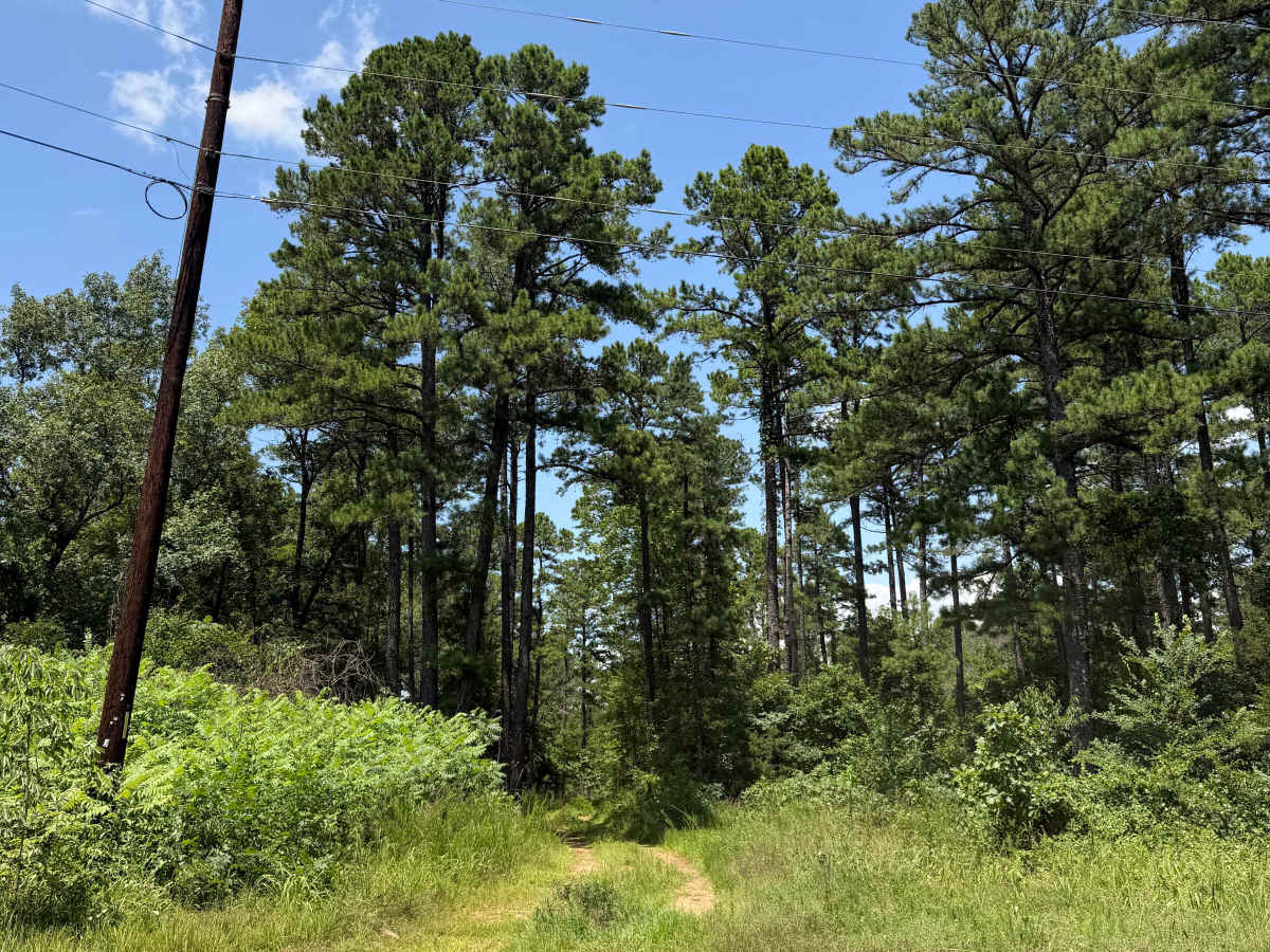 Mud Lane trail photo