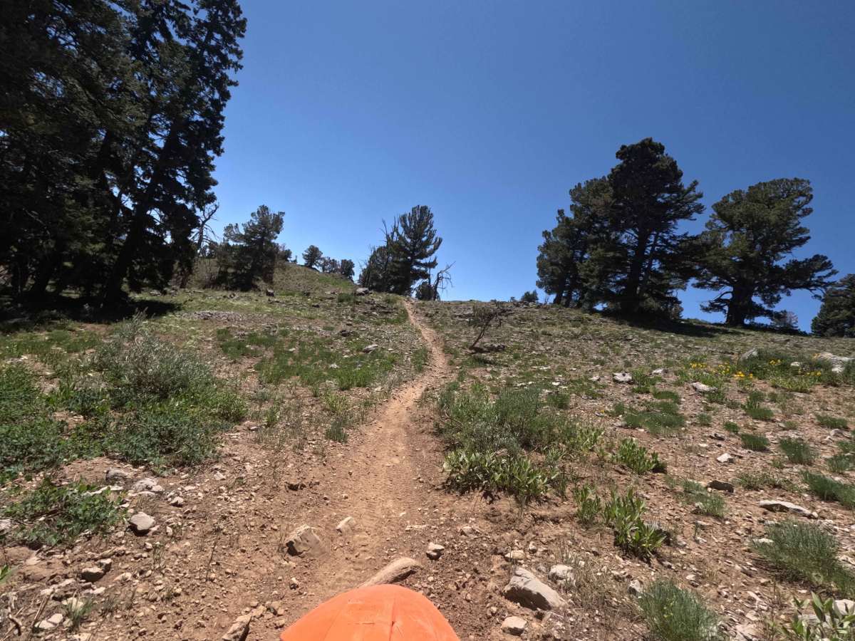 Highline Singletrack photo 3