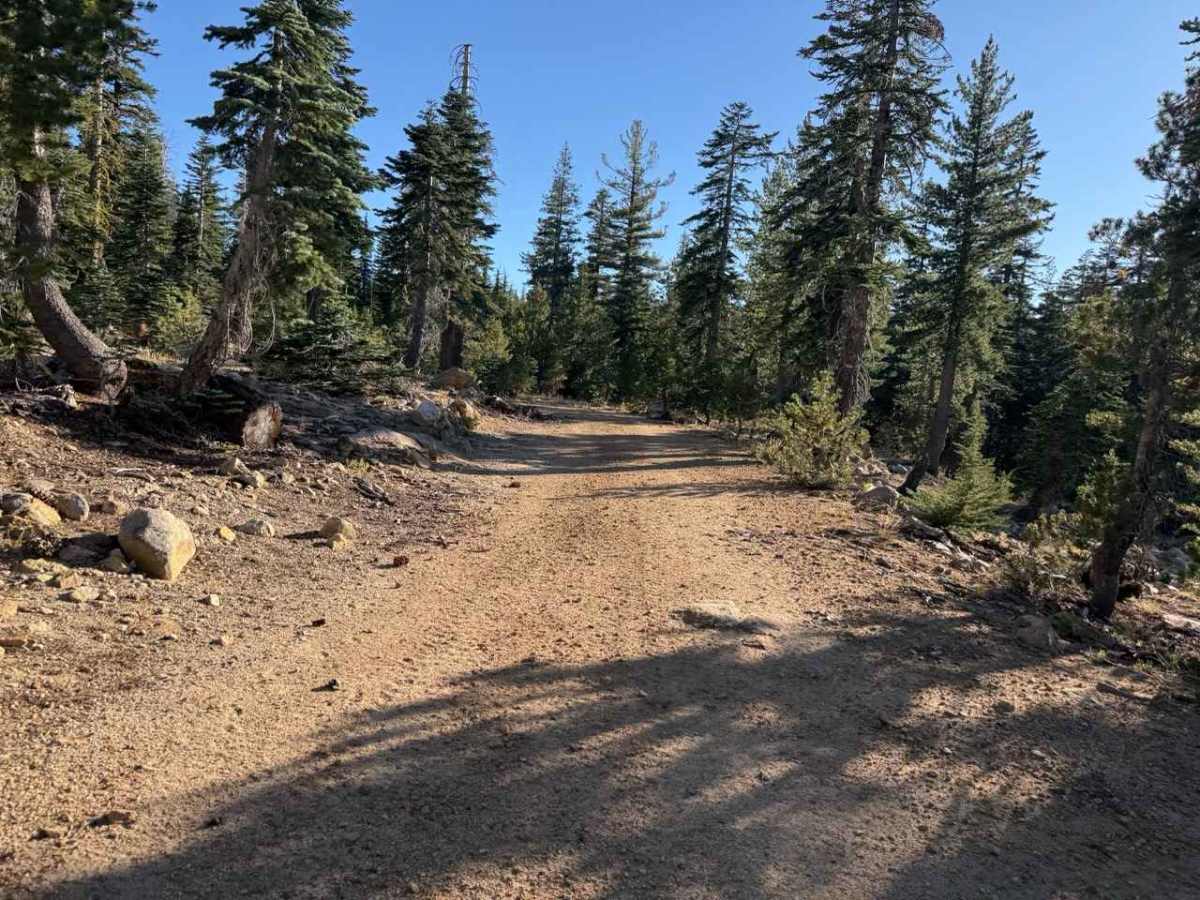 Blue Basin Road - FS 31096 photo 3