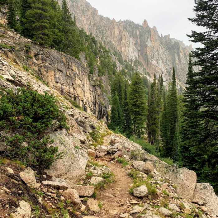 Near Redfish creek - Baron Creek Trail #101 Near Redfish creek - Baron Creek Trail #101