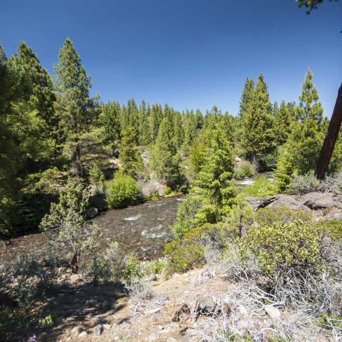 Near Upper Whychus Creek Trail