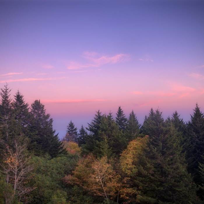 Near Shining Rock via Big East Fork Near Shining Rock via Big East Fork