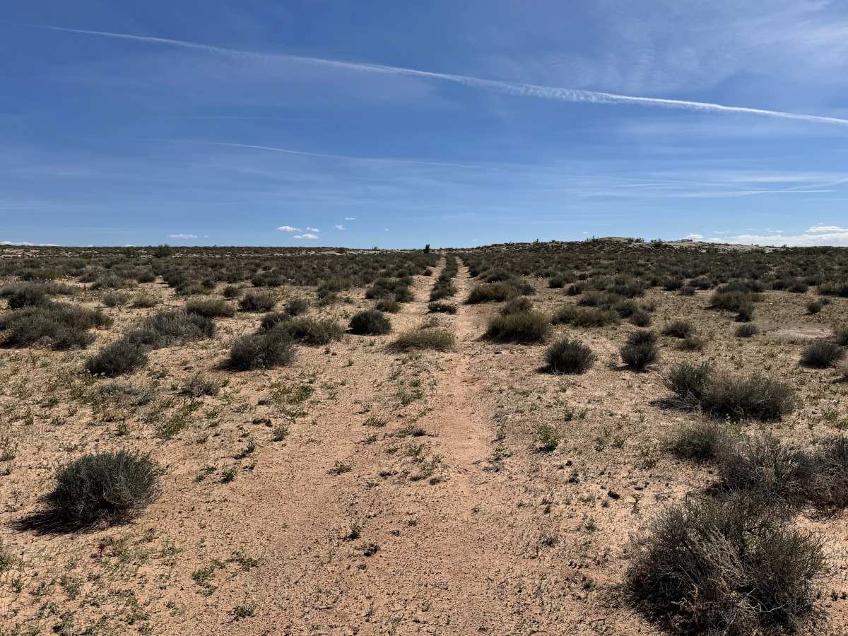 Orange Trail Overlook photo 2