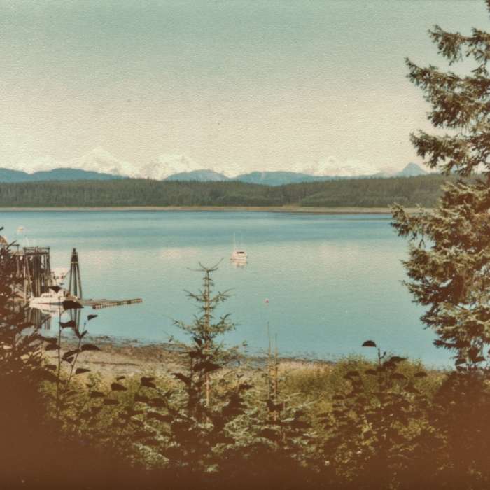 Bartlett Cove shimmers brightly in the sun with the Fairweather Range in the distance. Near Tlingit Trail