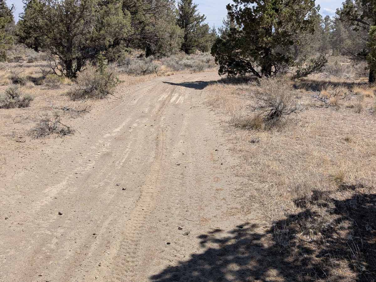 Cline Buttes Off Highway Vehicle Trail 41 photo 4
