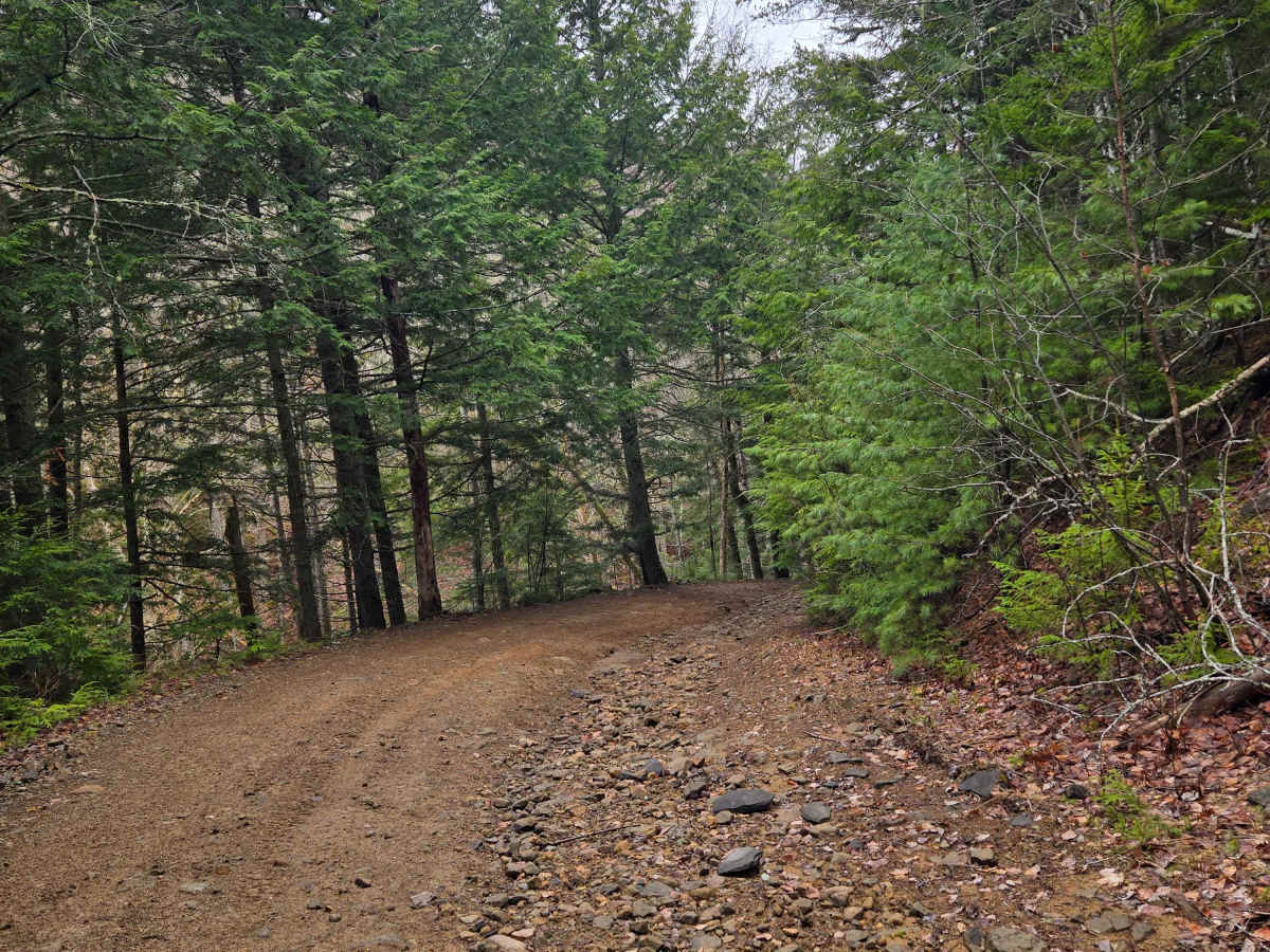 Hardscrabble Road photo 2