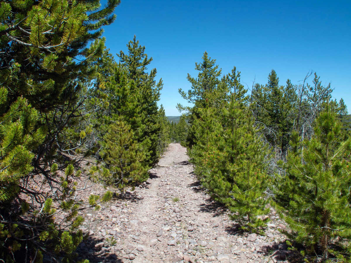 Ridge Road - FS 80076 trail photo